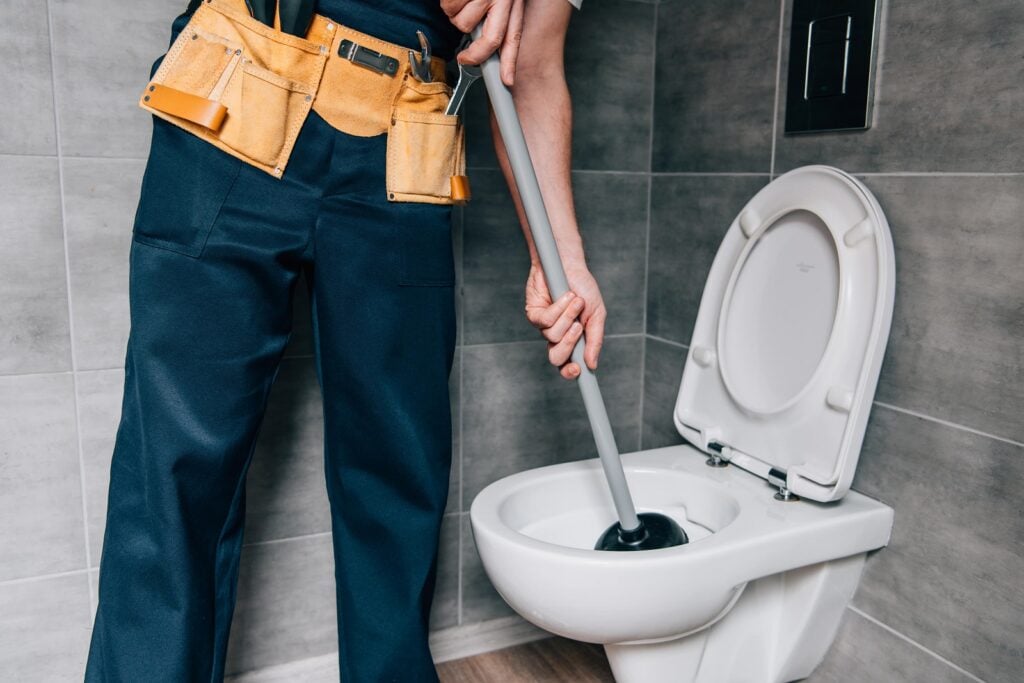 Plunge Like a True Plumber
