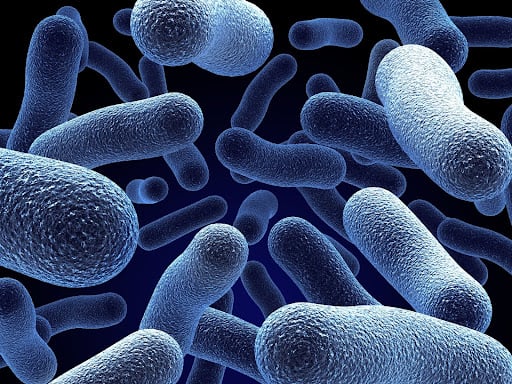 The Essential Role of Beneficial Bacteria in Septic Tanks