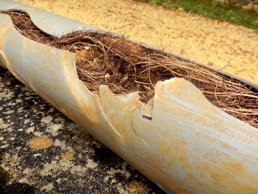 How Serious Is a Crack in Sewer Line?