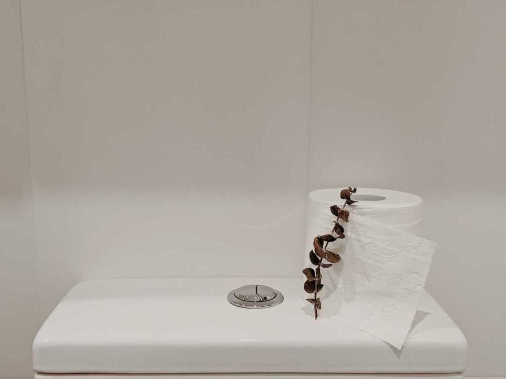 Why Is My Toilet Tank Empty?