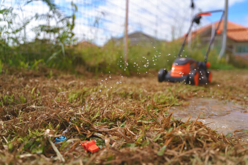 Why Is My Yard Soggy?